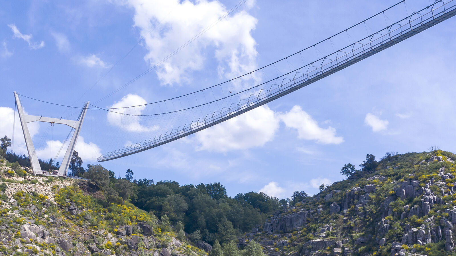 Longest pedestrian suspension bridge